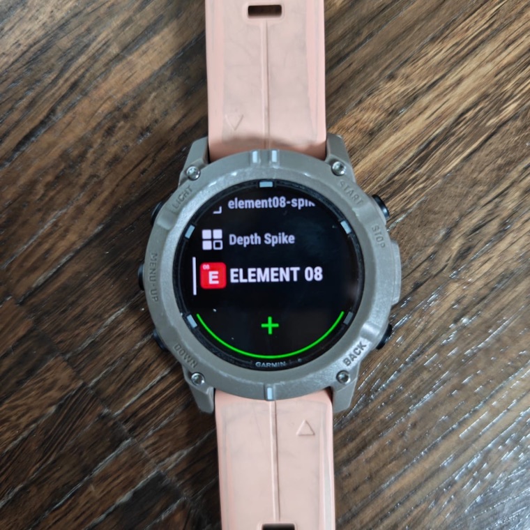 ELEMENT 08 listed among the watch's activities.